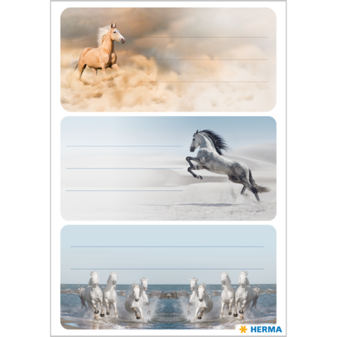 Drei Abschnitte mit Pferdemotiven: ein braunes Pferd in der Wüste, ein graues Pferd, das springt, und mehrere weiße Pferde im Wasser.